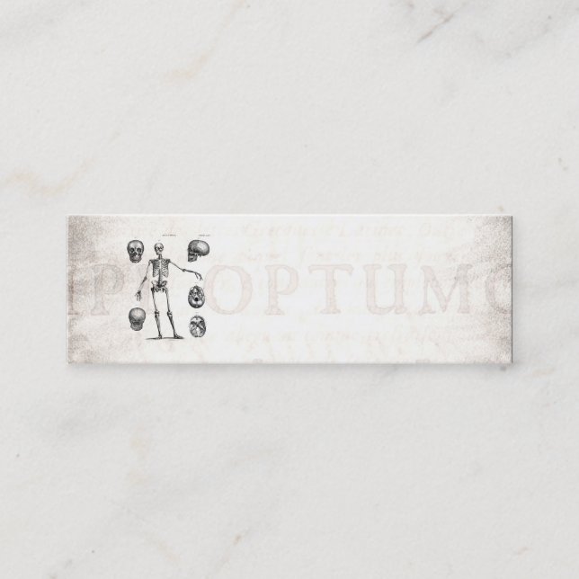 Minitarjeta De Visita Esqueletos antiguos esqueléticos de la anatomía de (Anverso)
