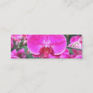 Minitarjeta De Visita Flor de orquídea rosa, fotografía floral