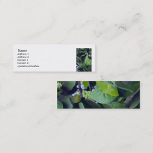 Minitarjeta De Visita Hojas escultóricas