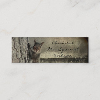 Minitarjeta De Visita Hola Squirrel