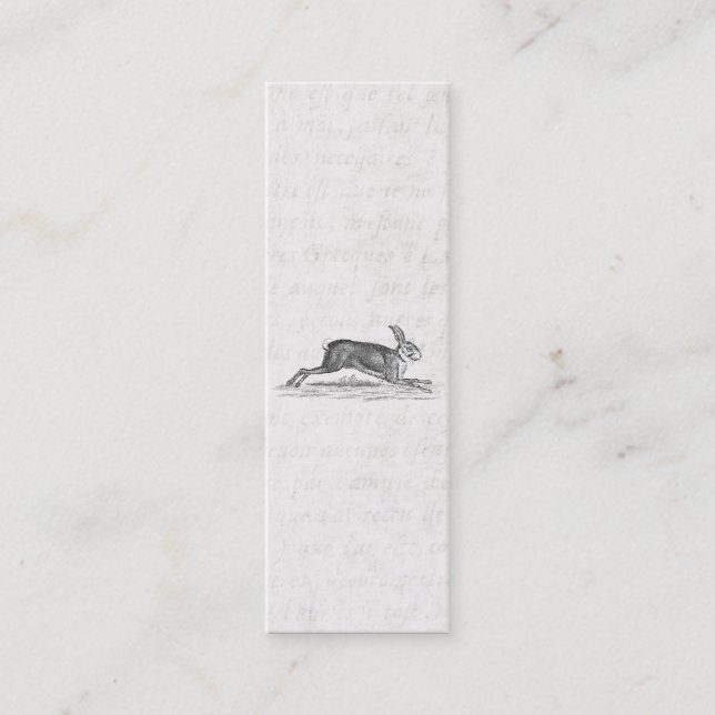 Minitarjeta De Visita Ilustracion de los 1800s del conejo de conejito de (Anverso)