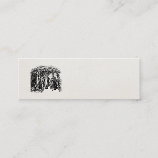 Minitarjeta De Visita Palo del Fox de vuelo de los 1800s del palo del (Anverso)