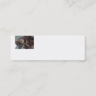 Minitarjeta De Visita Playful Dave Skinny White Business Cards (20 Pack)
