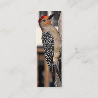 Minitarjeta De Visita Retrato de pájaro carpintero
