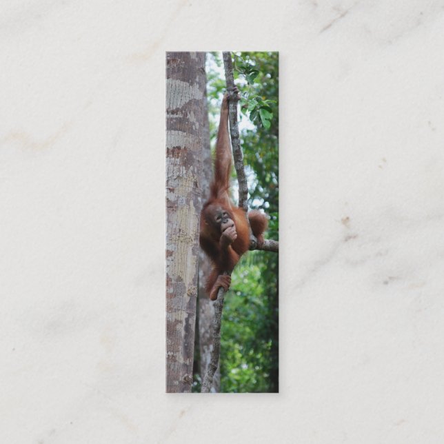 Minitarjeta De Visita Señales de Hugger del árbol de la fauna mini (Anverso)