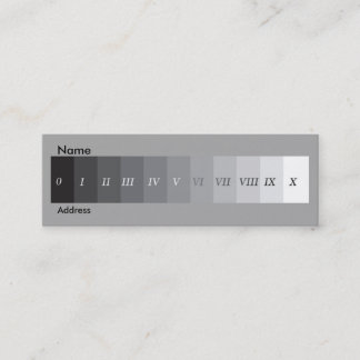 Minitarjeta De Visita Sistema de la zona