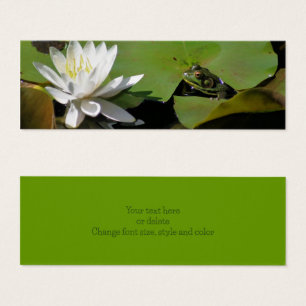 Minitolocalización De La Naturaleza De La Rana Y E