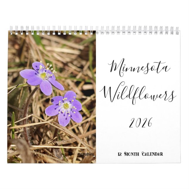 Minnesota Wildflower 2026 Calendario de pared de 1 (Tapa)