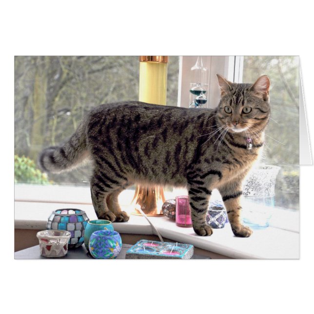 Minnie (Anverso (Horizontal))