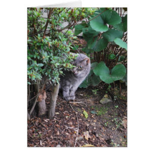 Minnie en el jardín