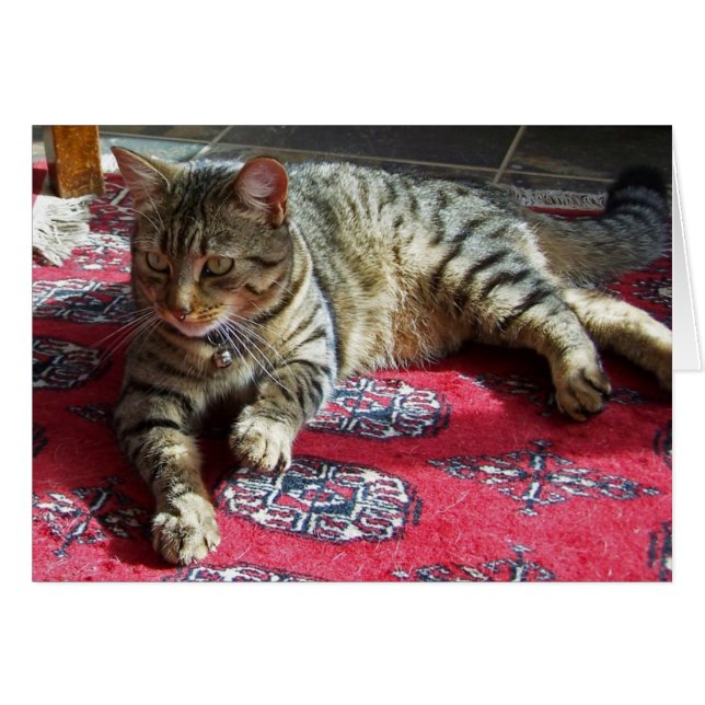 Minnie in Sunshine2 (Anverso (Horizontal))