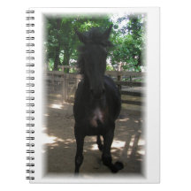 "¡Mintaka salvaje!" Cuaderno