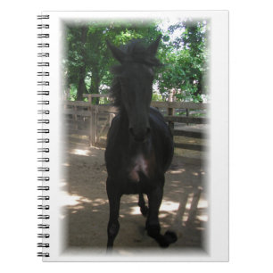 "¡Mintaka salvaje!" Cuaderno