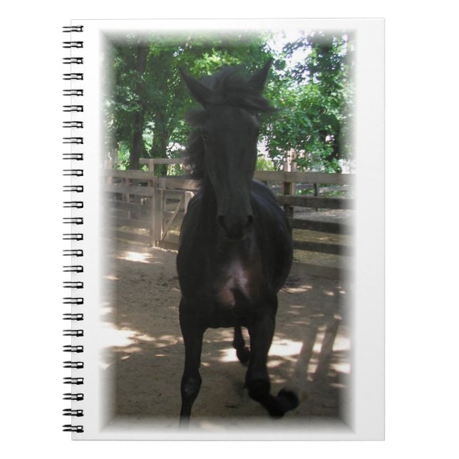 "¡Mintaka salvaje!" Cuaderno (Frente)