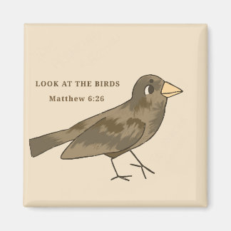 Mira el imán de las aves