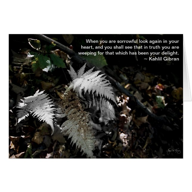 Mira otra vez en tu corazón (Anverso (Horizontal))