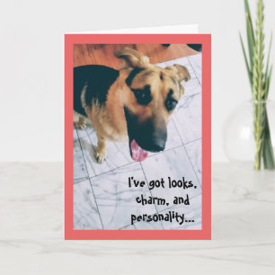 Mira y tarjeta del día de San Valentín del perro