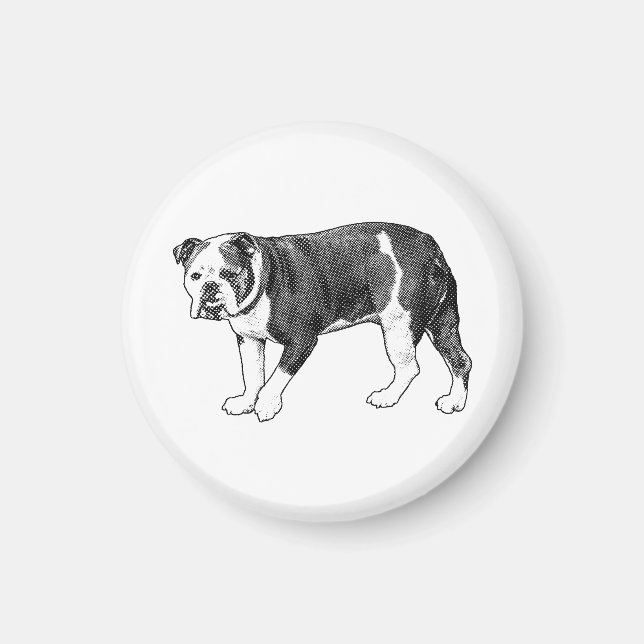 Mirada de Bulldog, Imán de Punto de Manga (Frente)
