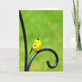 Mirada para arriba de la tarjeta de felicitación