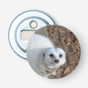 Mirando a White_Meerkat, abridor de botella magnét