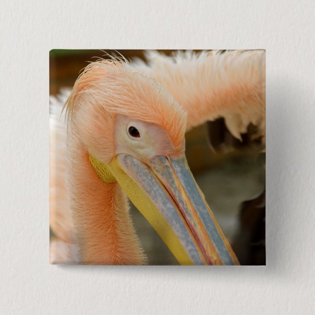 Mirando el botón Pelican (Anverso)