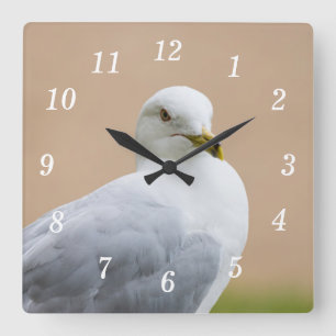 Mirando el reloj de pared
