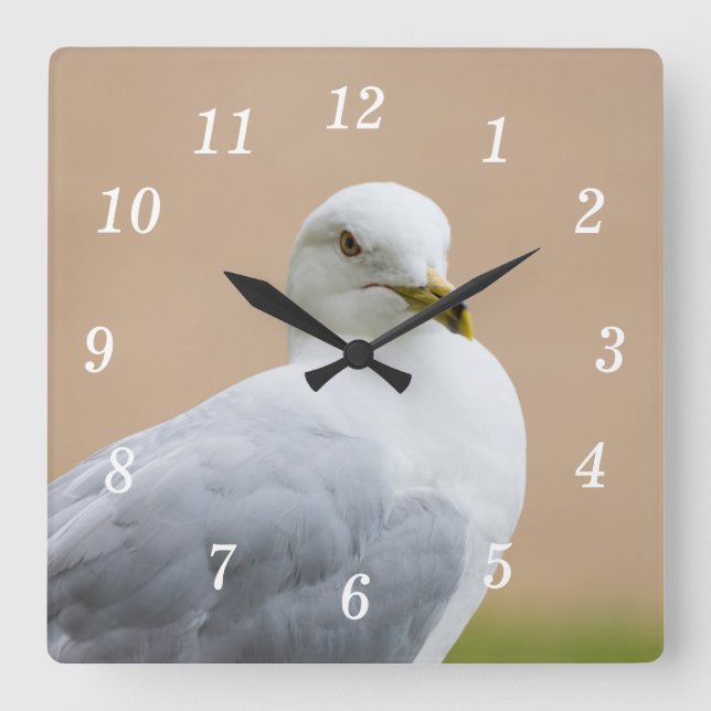 Mirando el reloj de pared (Anverso)