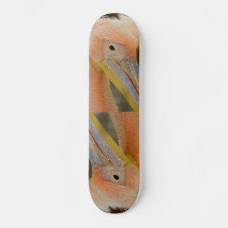Mirando el Skateboard Pelican