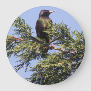 Mirando en un reloj de pared de un árbol prudente