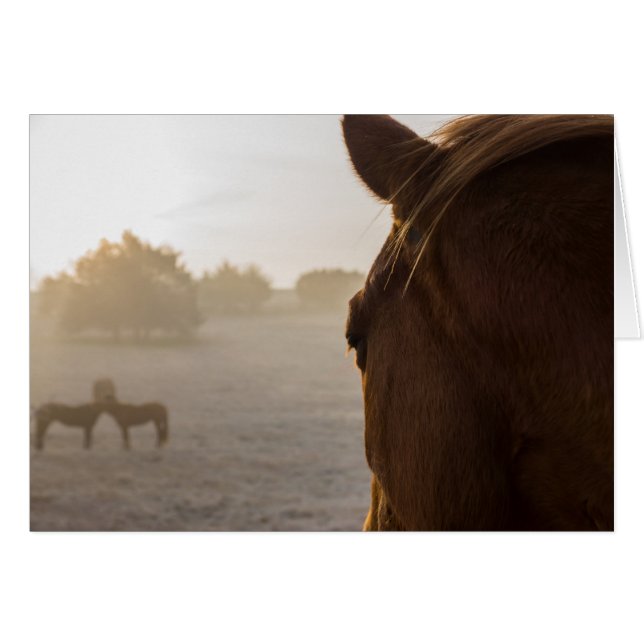 Mirando hacia adelante la tarjeta de felicitación (Anverso (Horizontal))