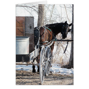 Mirando hacia atrás