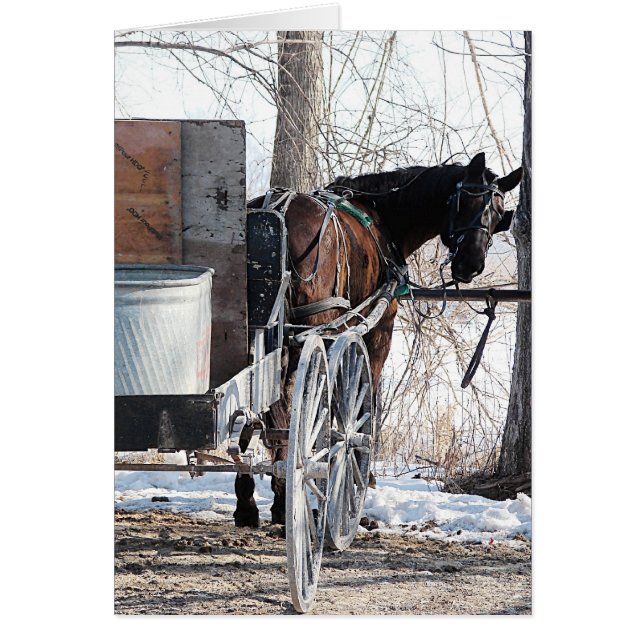 Mirando hacia atrás (Frente)