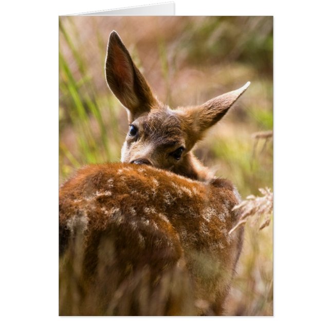 Mirando hacia atrás (Frente)