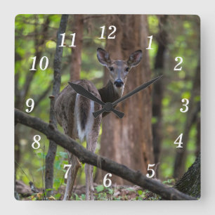 Mirando hacia atrás el reloj de pared paradisíaca