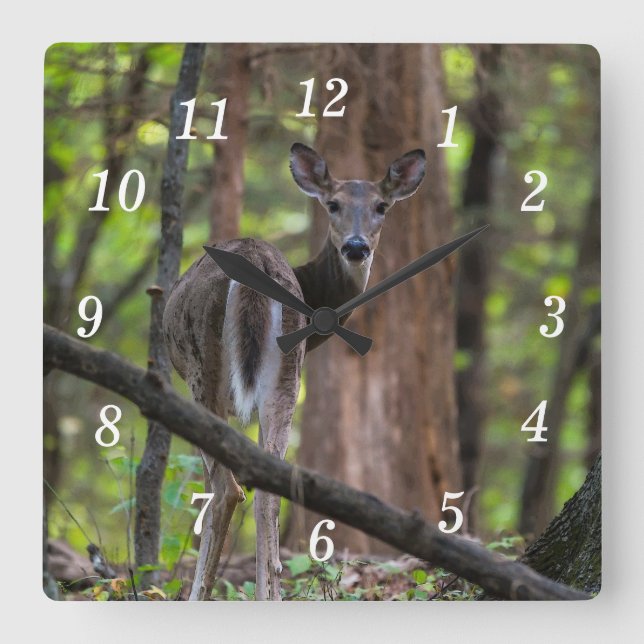 Mirando hacia atrás el reloj de pared paradisíaca (Anverso)