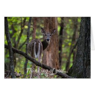 Mirando hacia atrás, Pensando En La Tarjeta