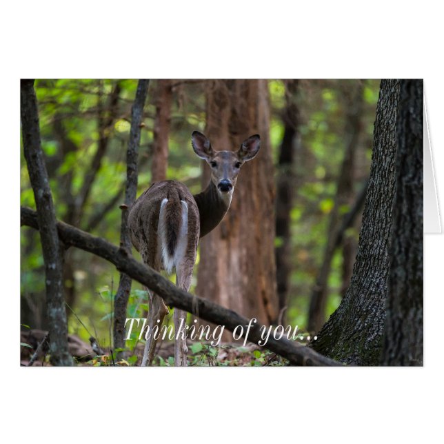 Mirando hacia atrás, Pensando En La Tarjeta (Anverso (Horizontal))