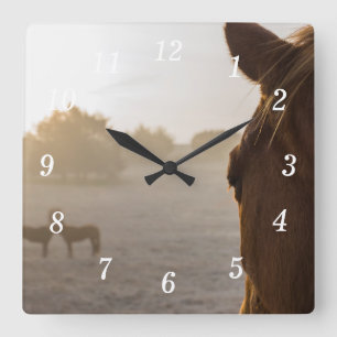 Mirando hacia el reloj de pared