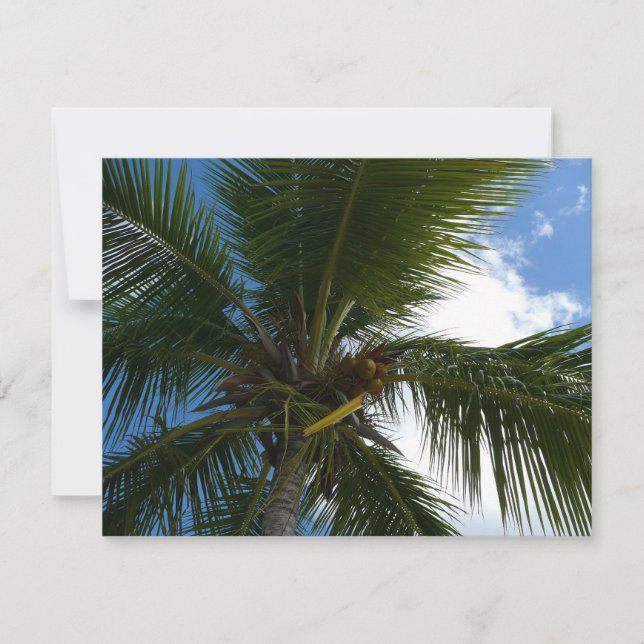 Mirando hacia la naturaleza tropical de las palmer (Anverso)