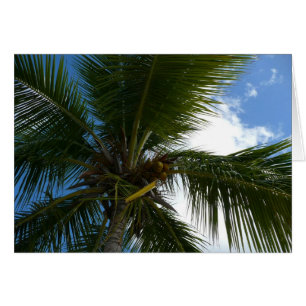 Mirando hacia la naturaleza tropical de las palmer