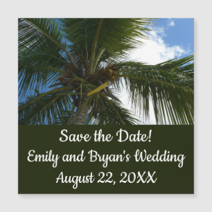 Mirando hacia la naturaleza tropical de las palmer