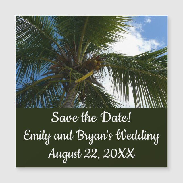 Mirando hacia la naturaleza tropical de las palmer (Anverso)