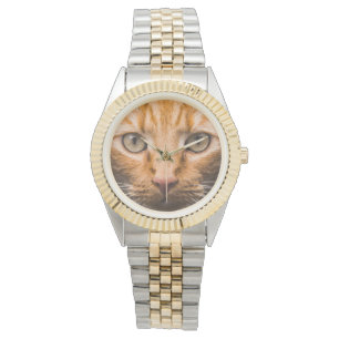 Mirando relojes de gato