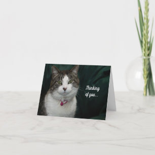 Mirando usted mirándome pensando en su tarjeta