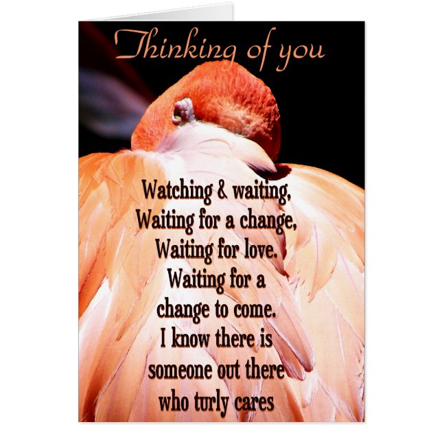 Mirando y esperando_ (Frente)