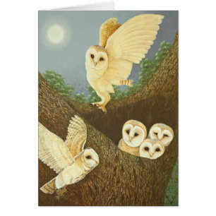 Mirando y esperando 2013