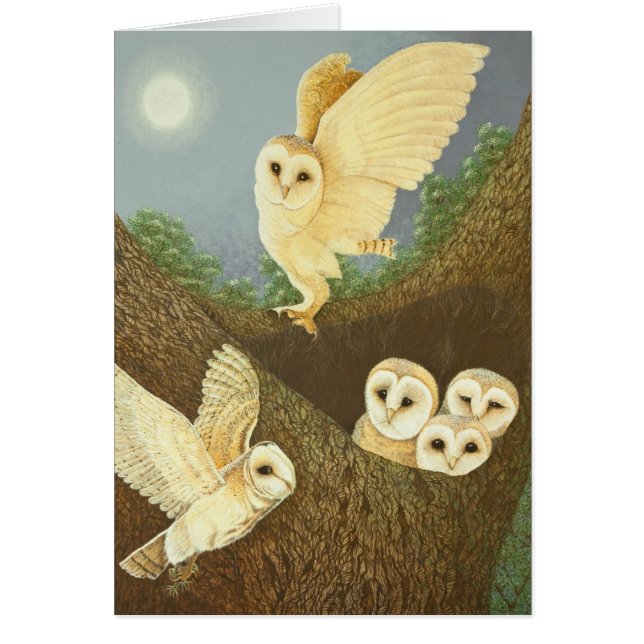 Mirando y esperando 2013 (Frente)