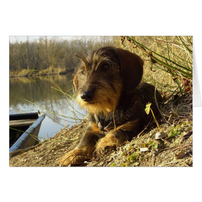 Mirándolo (Anverso (Horizontal))