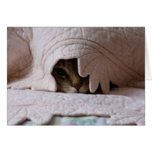 Mirar a escondidas la tarjeta de Tom