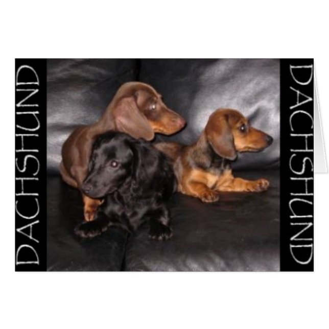 Mirar al revés (Anverso (Horizontal))